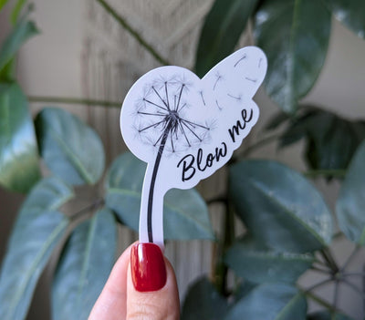 Blow me sticker, adult stickers for boyfriend, dirty sticker for hard hats, spicy stickers for hydroflask funny, fantasy gift for him, smut