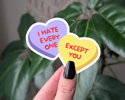 I hate everyone except you, funny conversation heart sticker, anti Valentine's Day gifts, water bottle sticker, laptop sticker