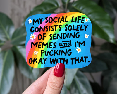 Funny Meme Sticker, Rainbow Vinyl Sticker, Anti Social Humor Decal, Relatable Humor, Meme Lover Sticker for Laptop, Mental Health Sticker