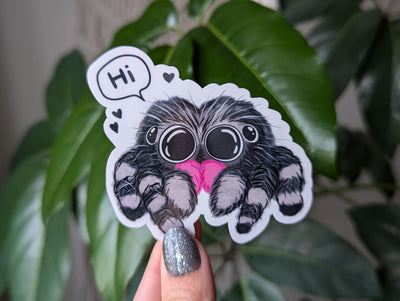 Jumping Spider Vinyl Sticker