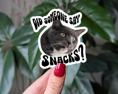 Did Someone Say Snacks - Funny Cat Vinyl Sticker
