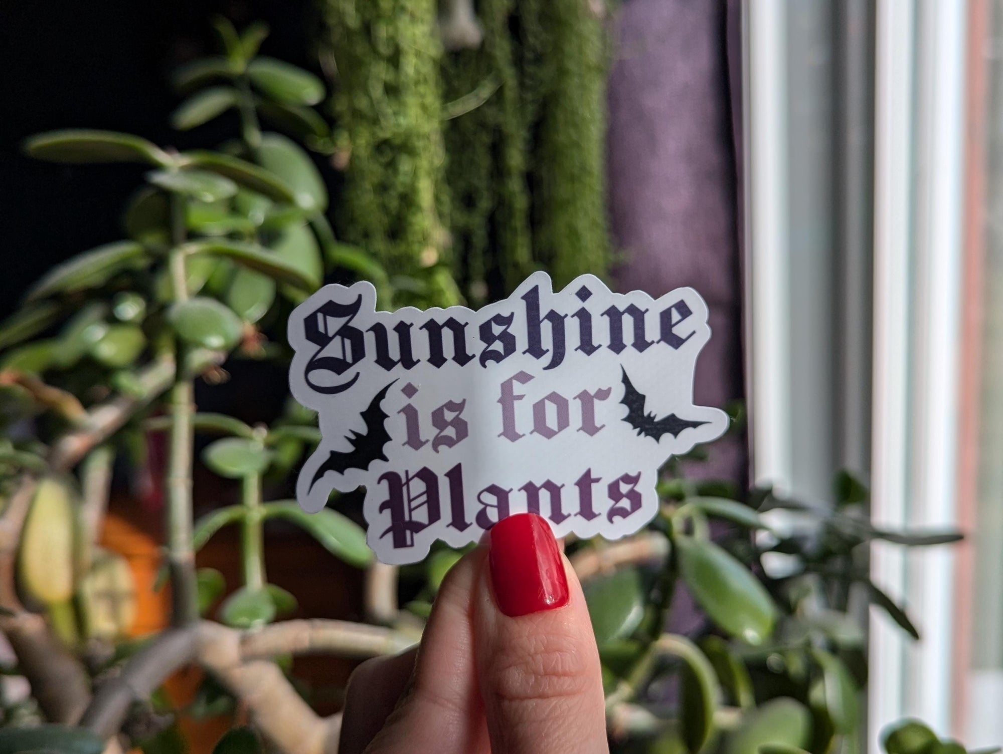 Sunshine is for plants sticker, gothic gifts for plant people, vampire sticker, dark academia, bat sticker, spooky stickers, night hawk