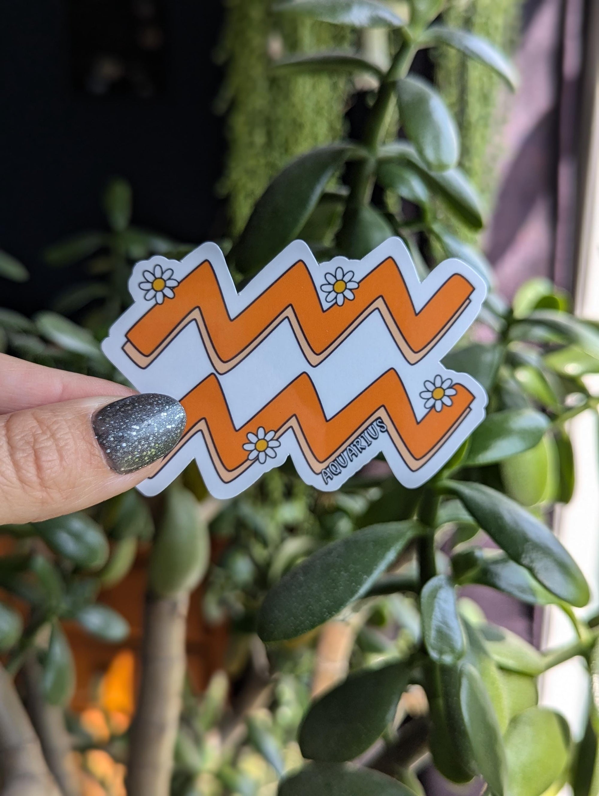 Aquarius Astrology Vinyl Sticker