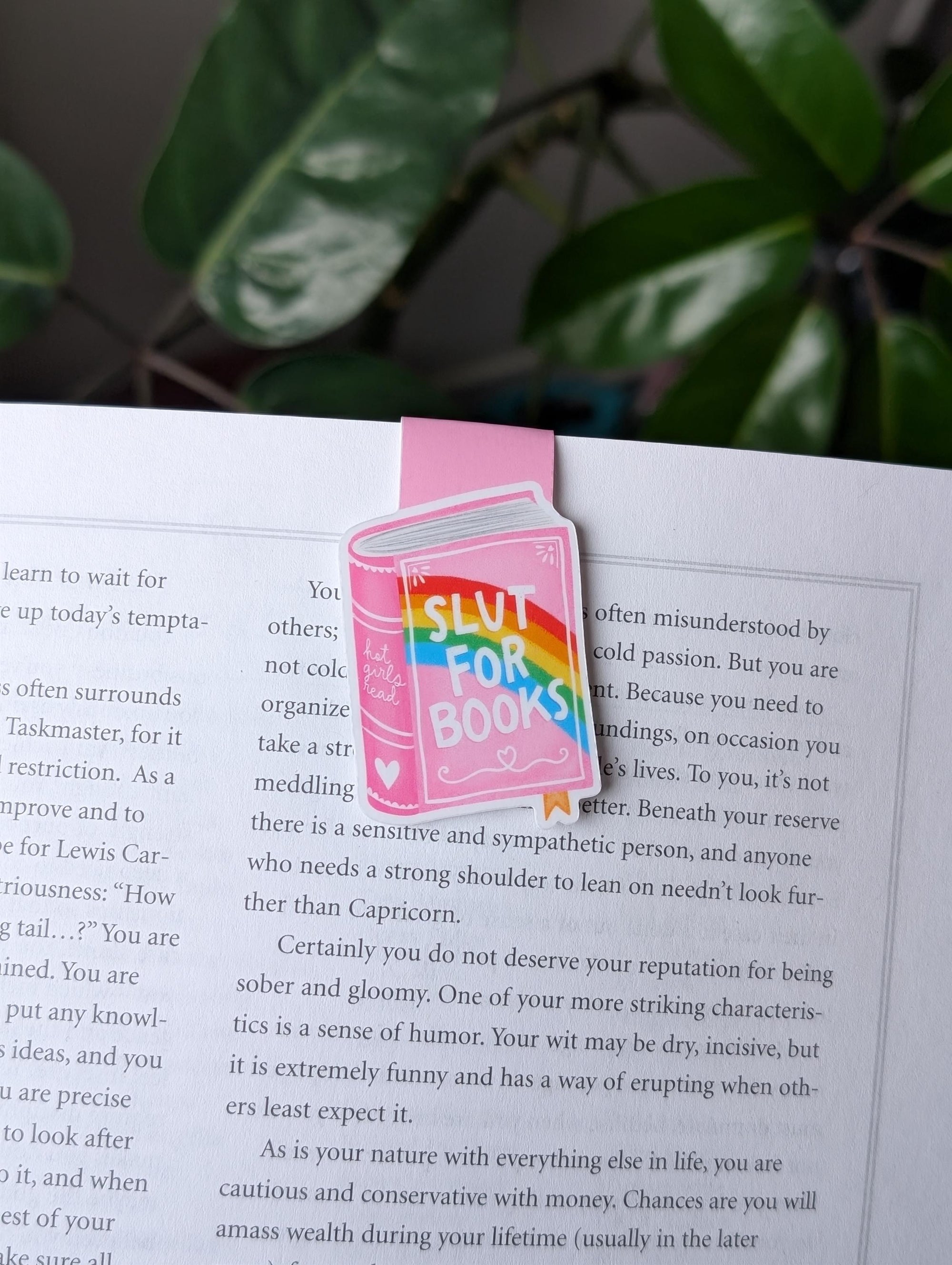 Slut for Books Magnetic Bookmark, Rainbow Page Marker