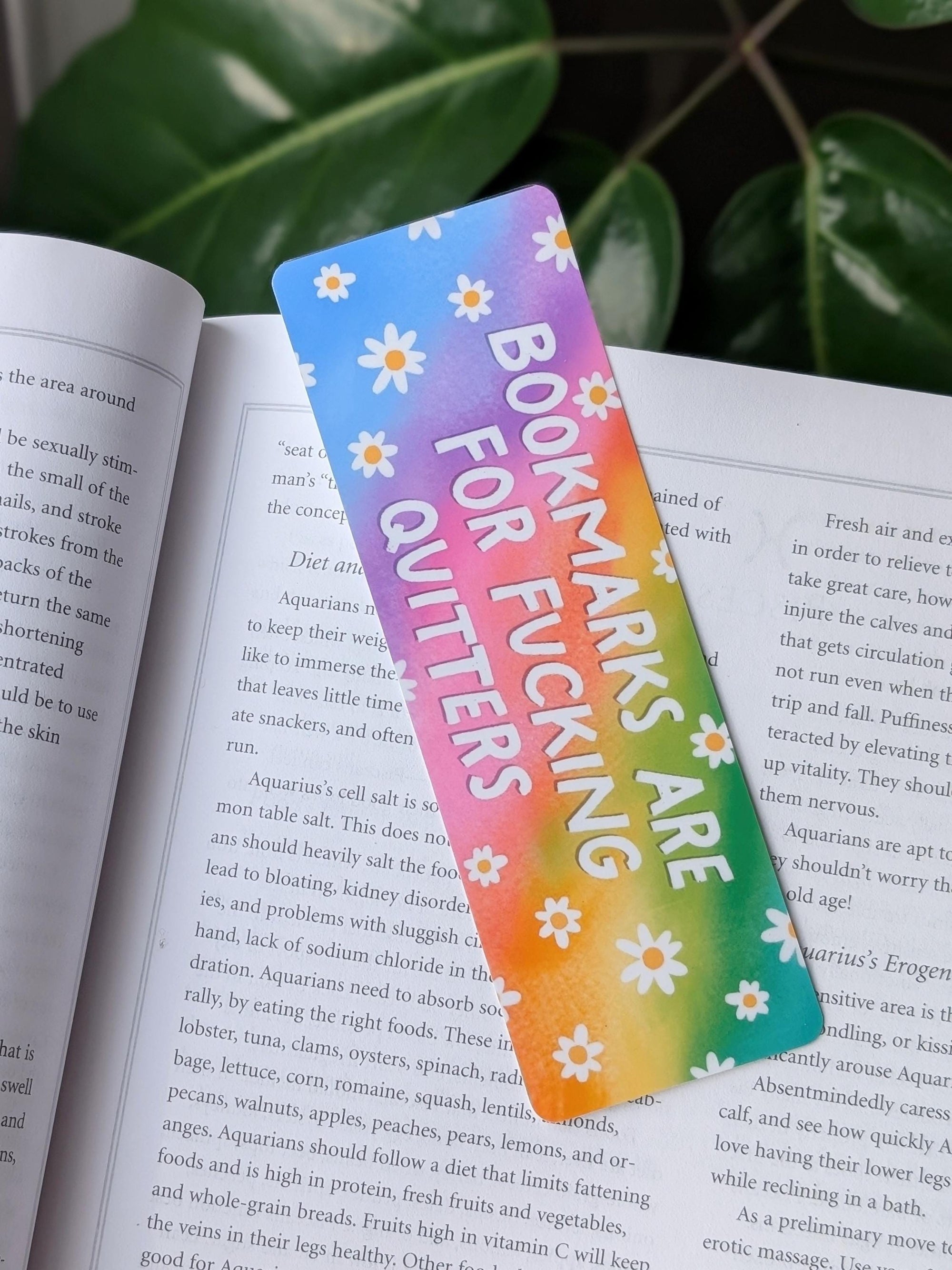 Bookmarks Are for F*cking Quitters, Funny Bookmark, Rainbow Aesthetic, Sarcastic Bookish Gift, Reader Gift, Book Lover Gift, Dark Humor