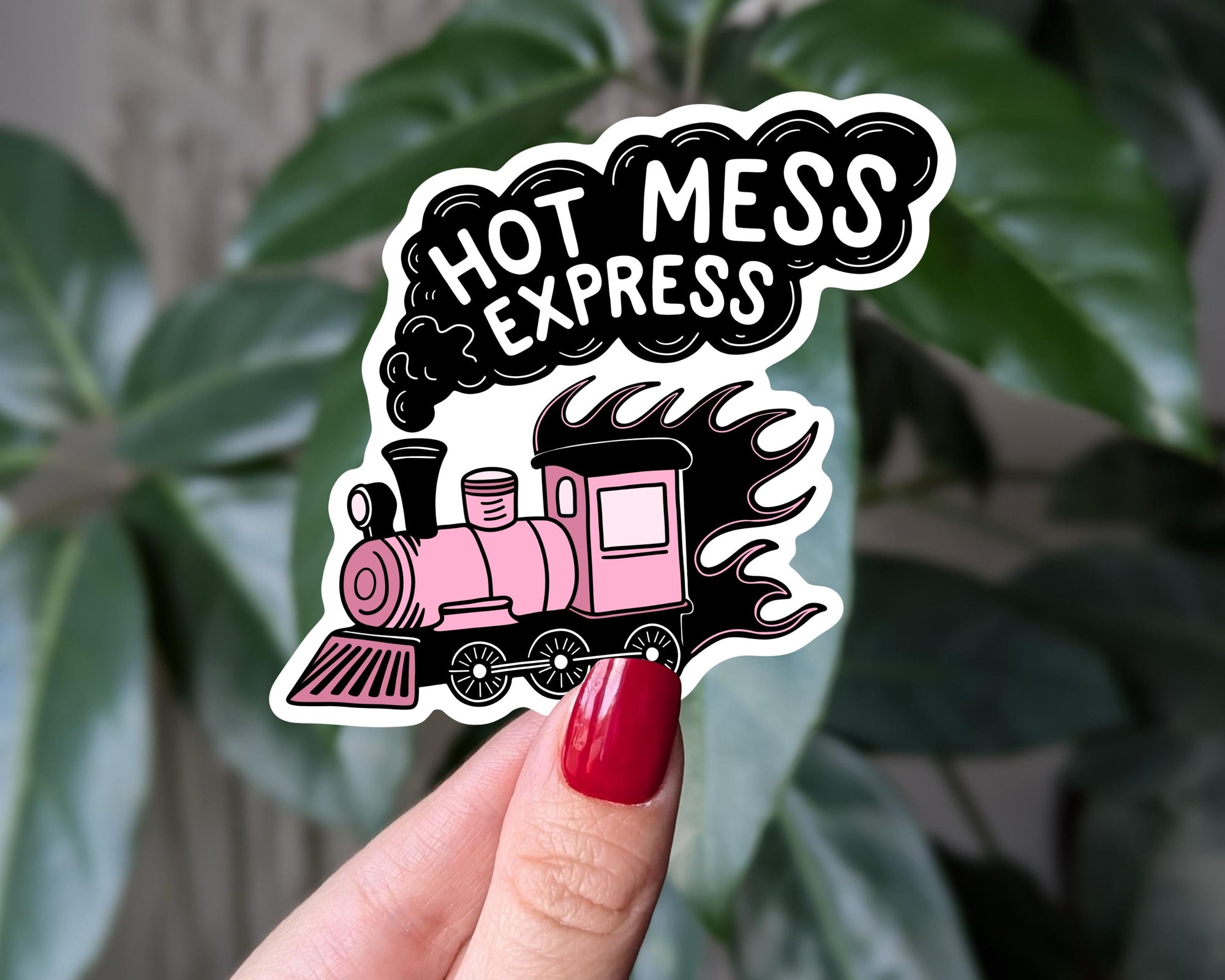 Hot Mess Express Vinyl Sticker
