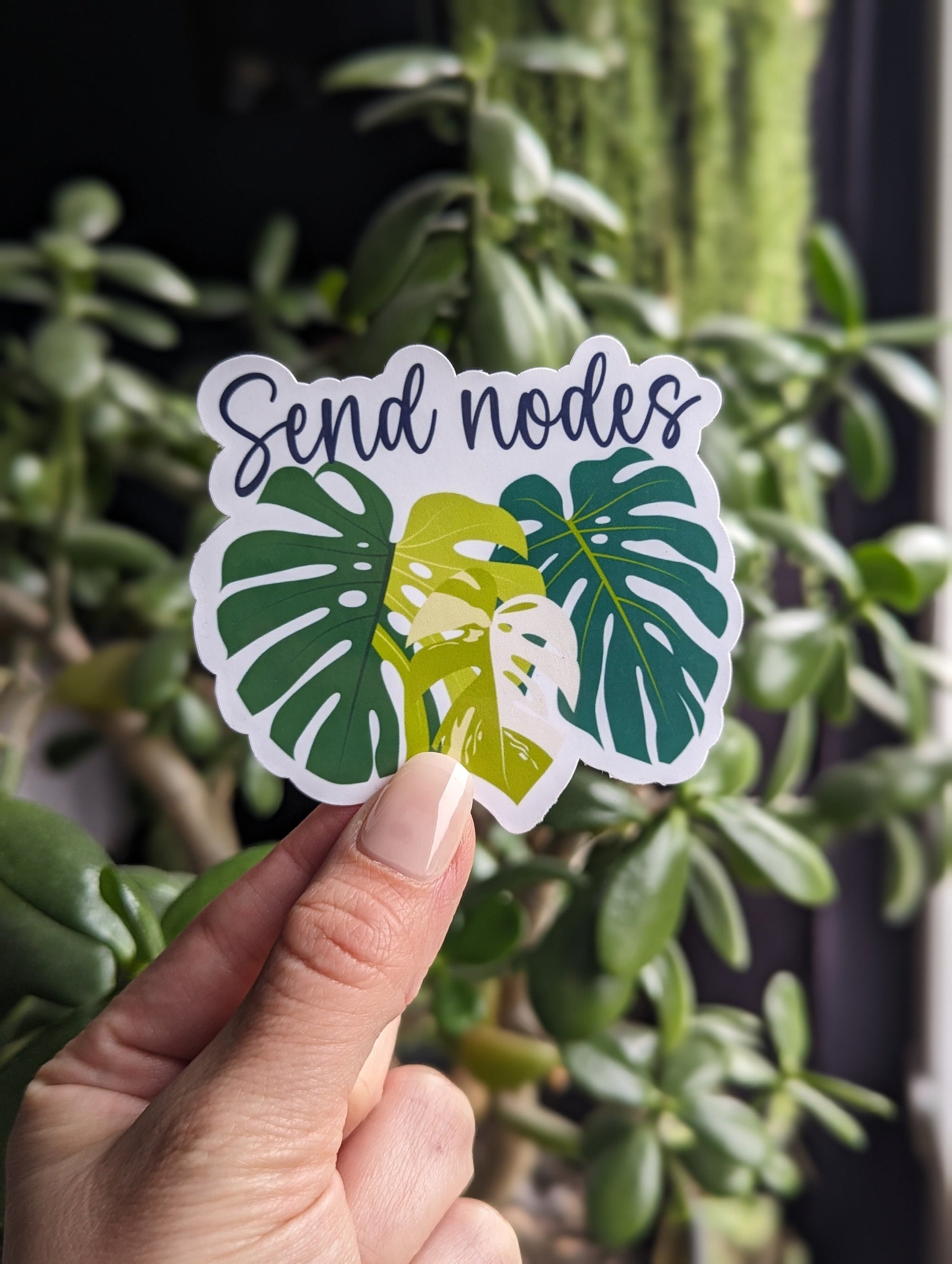Send nodes, plant lover stickers for water bottle, plant girly things, plant gifts for women, plant merch, monstera gifts for best friend