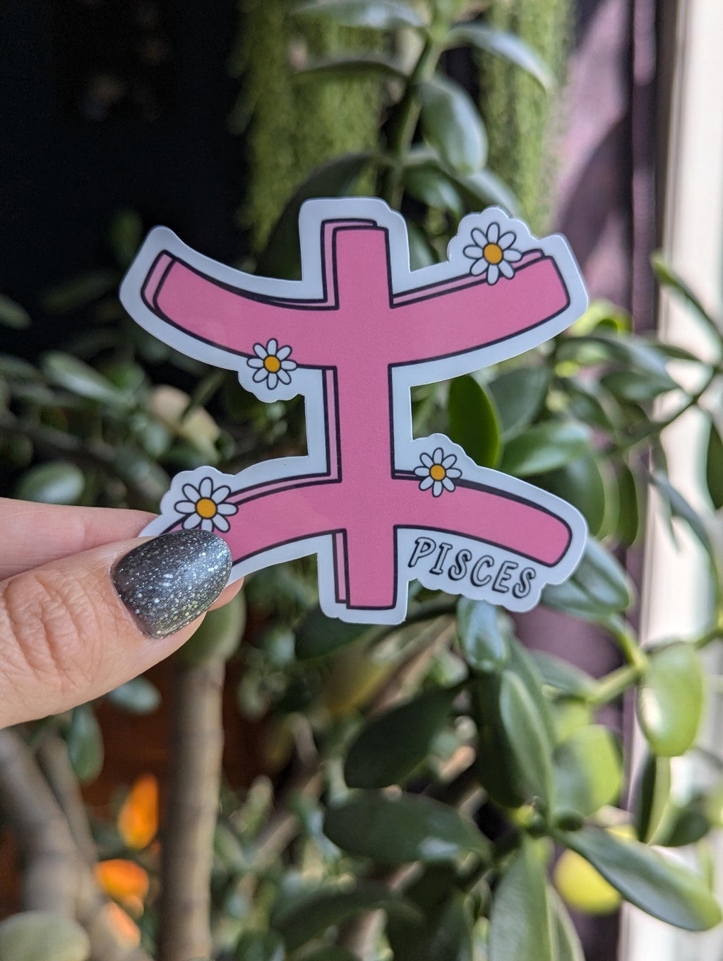 Pisces sticker for kindle, astrology stickers for water bottle, zodiac sign sticker, horoscope, witchy gifts for her, metaphysical gifts