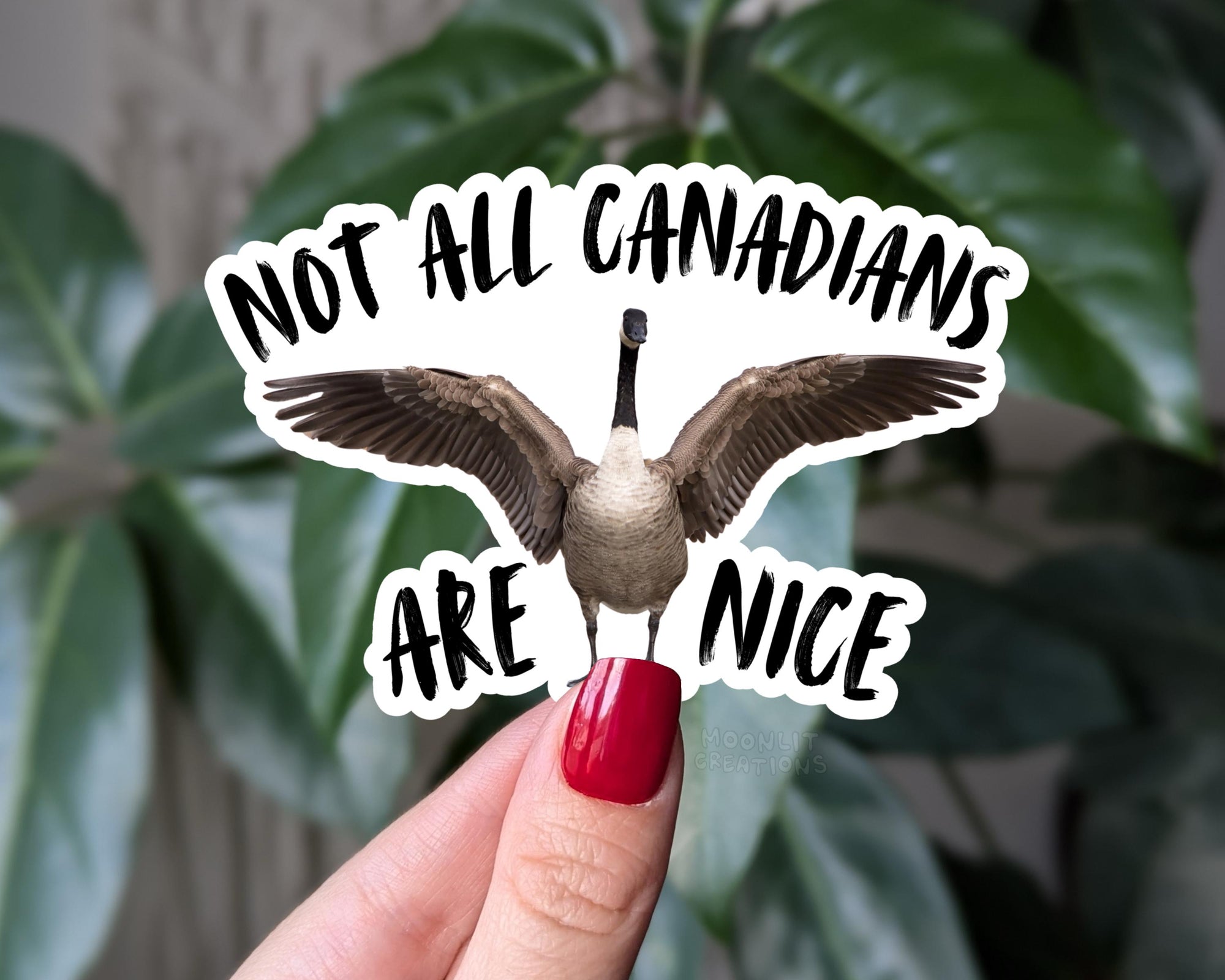 Not All Canadians Are Nice Sticker, Funny Canada Goose Vinyl Sticker, Funny Canadian Gift, Canadian Humor Sticker, Aggressive Goose Decal