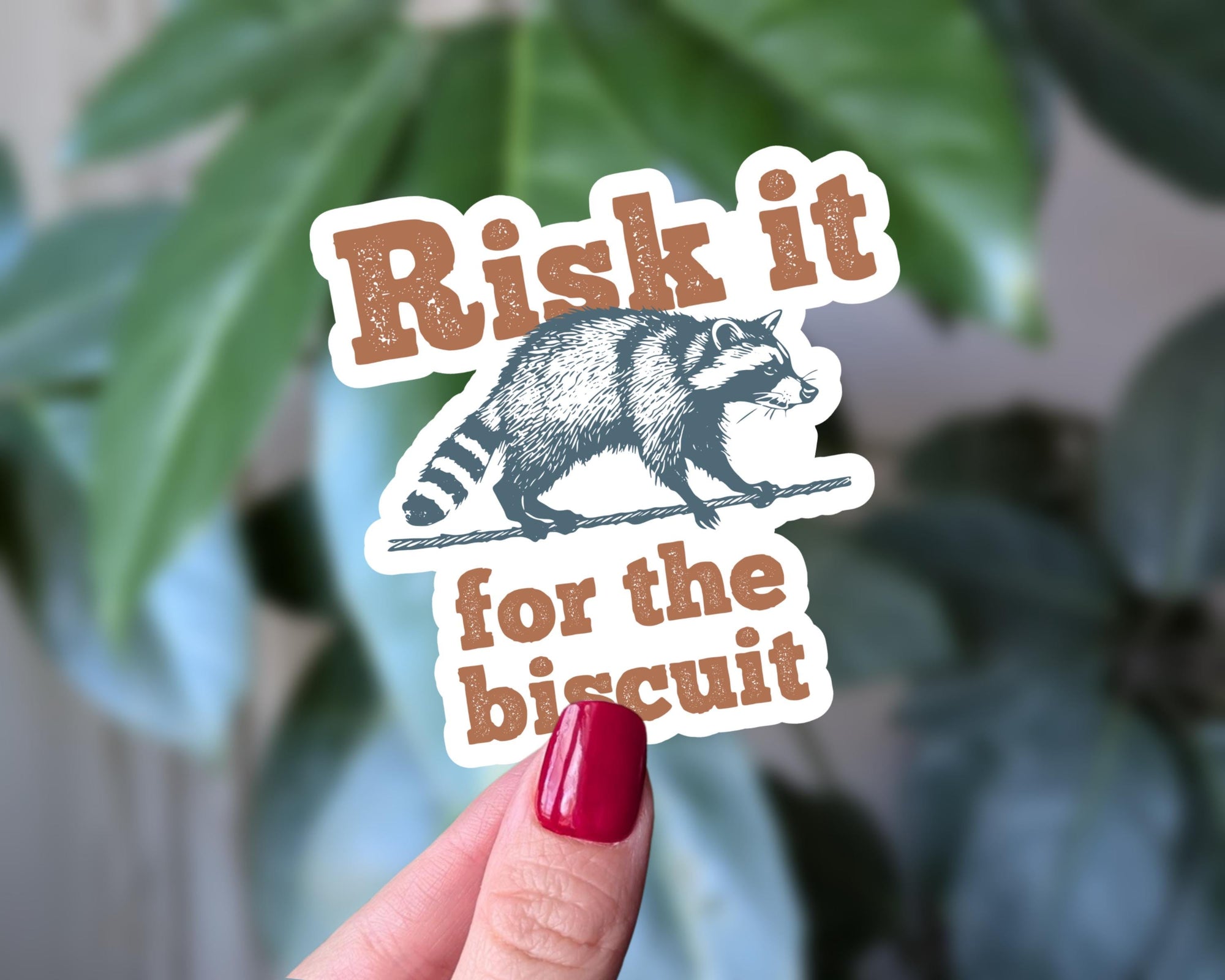 Risk it for the Biscuit Raccoon Sticker, Funny Trash Panda Vinyl Sticker, Hilarious Animal Sticker for Adults & Teens, Laptop Sticker