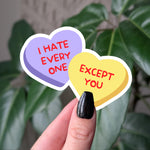 I hate everyone except you, funny conversation heart sticker, anti Valentine's Day gifts, water bottle sticker, laptop sticker