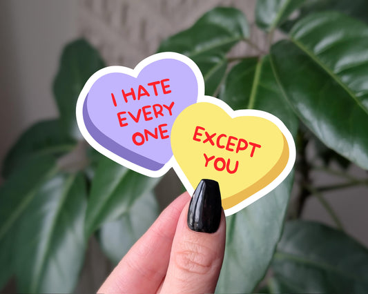 I hate everyone except you, funny conversation heart sticker, anti Valentine's Day gifts, water bottle sticker, laptop sticker