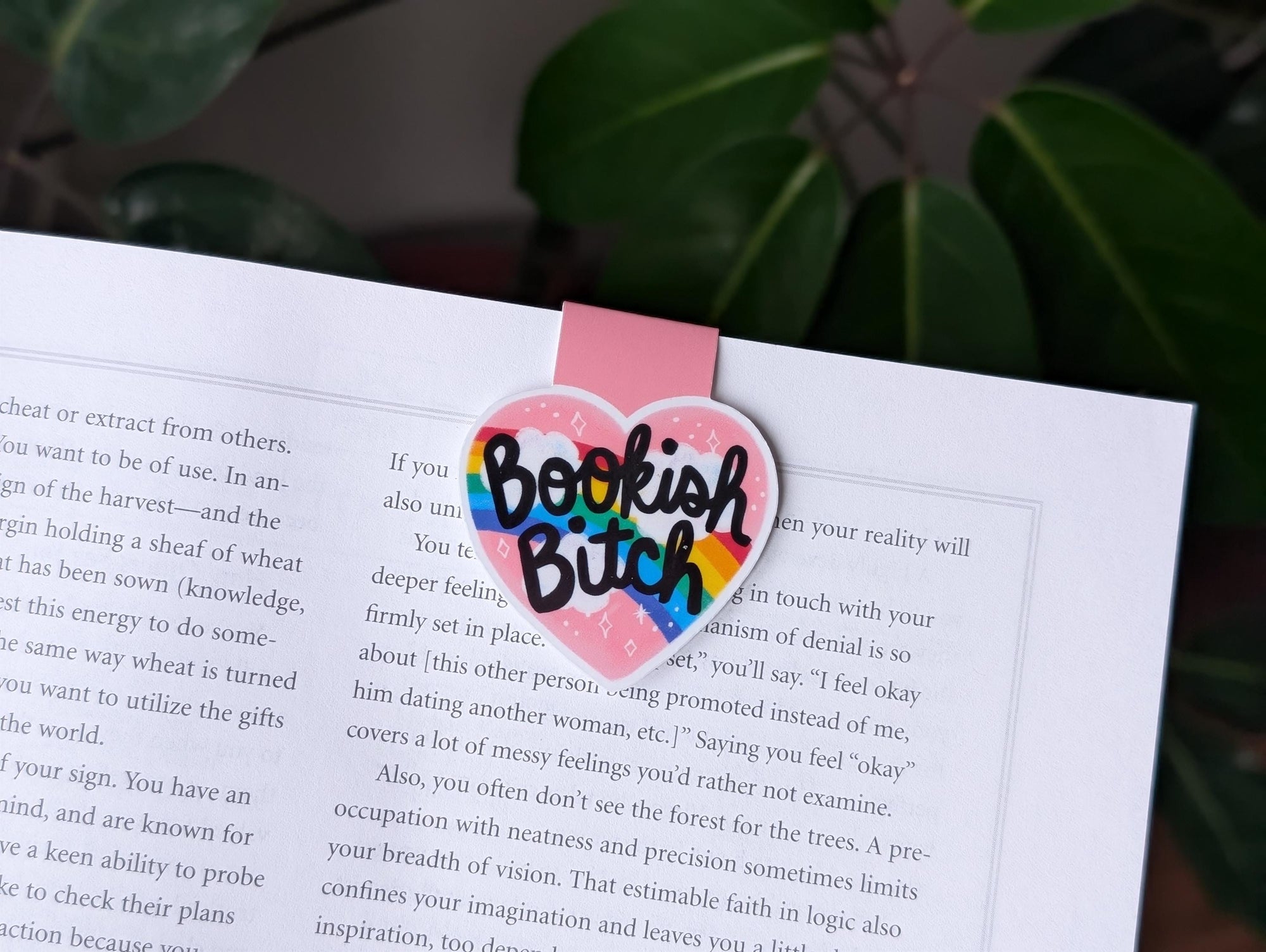 Bookish Bitch Magnetic Bookmark