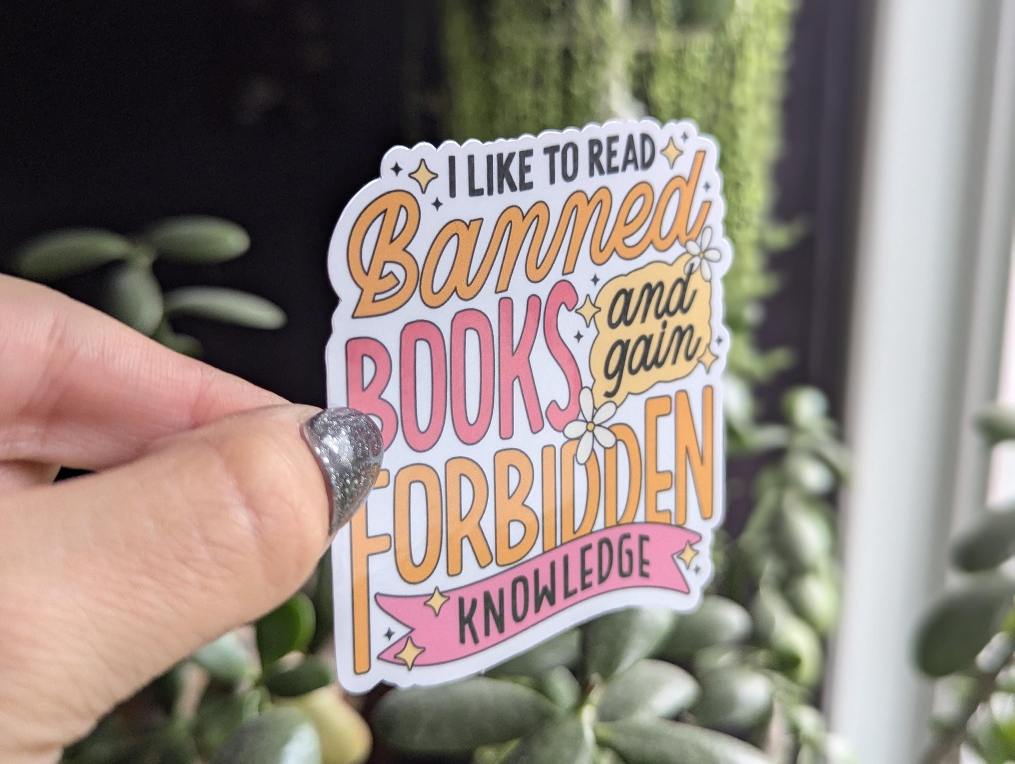 Read banned books sticker, bookish merch, book gifts for book lovers, smut reader gifts, library stickers for kindle, booktok stickers for