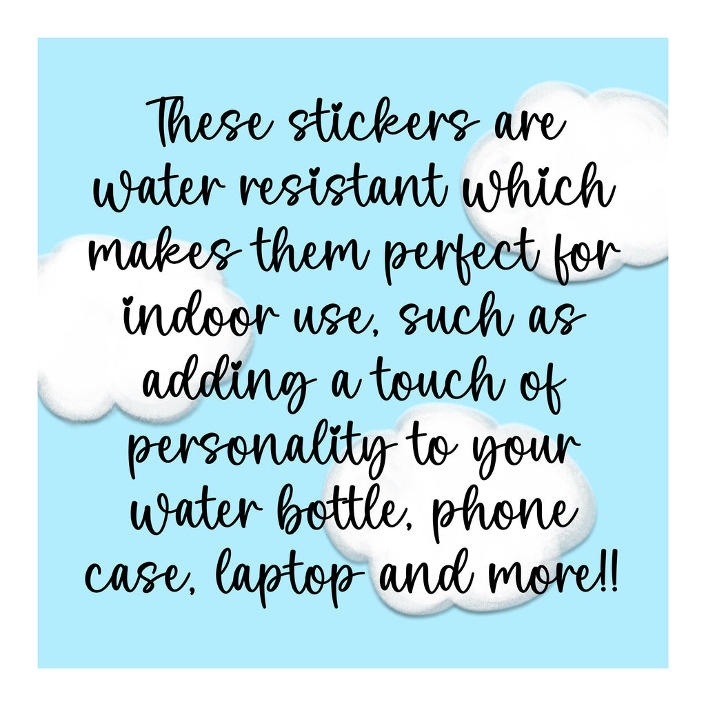 Your anxiety is a lying bitch sticker, anxiety stickers for hydroflask mental health, motivational gift for best friend, self care gift for