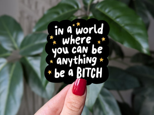 Be a b*tch sticker, funny motivational vinyl sticker for laptops, bold feminist humor stickers, water bottle sticker, journal stickers
