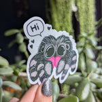 Jumping Spider Vinyl Sticker