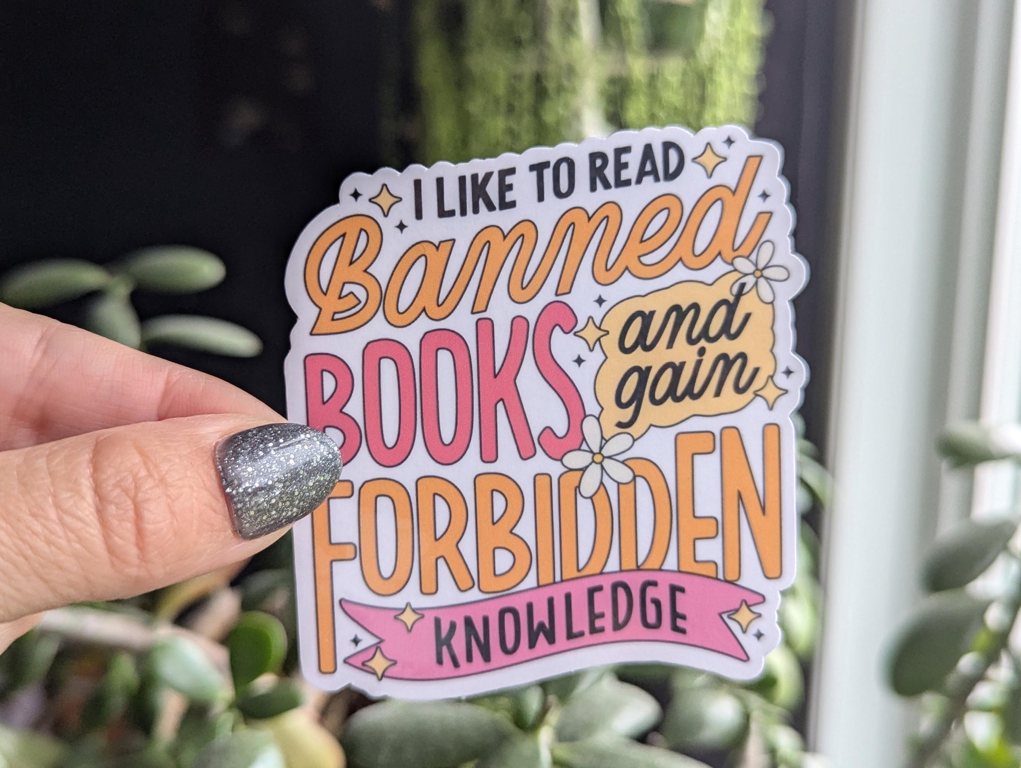 Read banned books sticker, bookish merch, book gifts for book lovers, smut reader gifts, library stickers for kindle, booktok stickers for