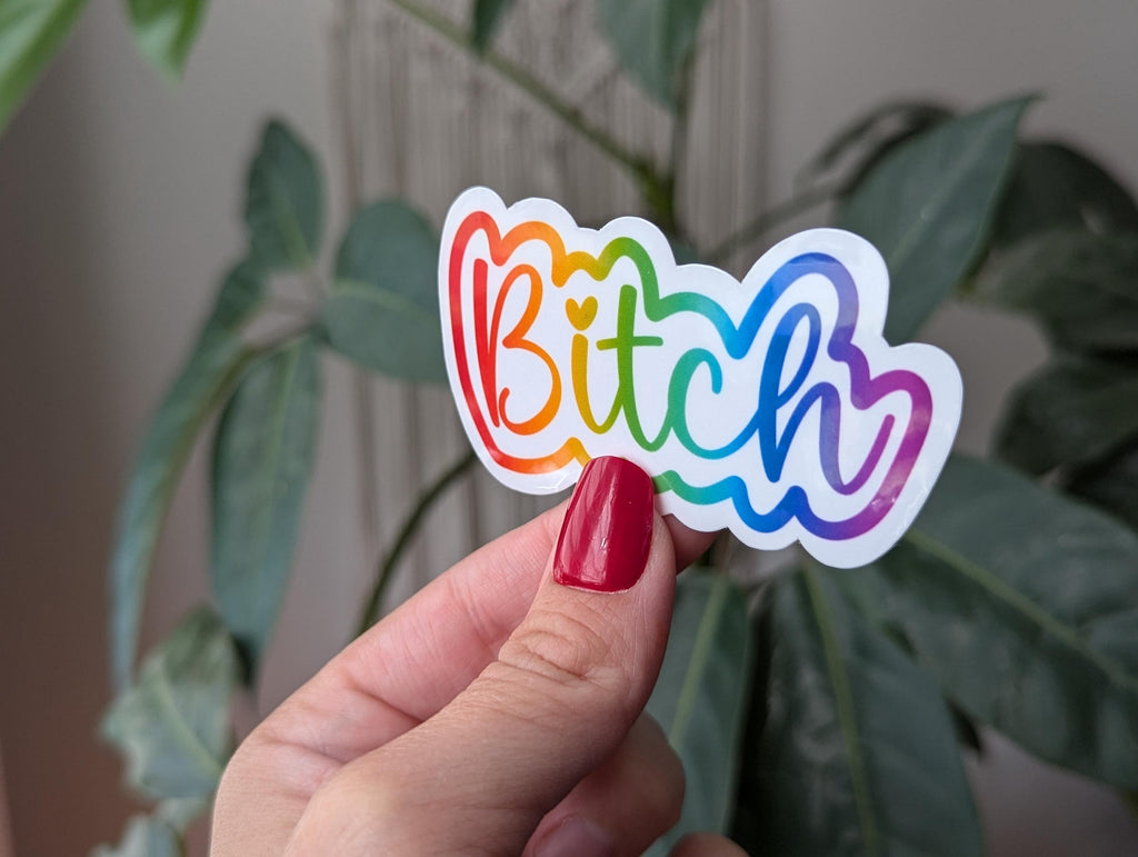 Bitch sticker, sassy stickers for water bottle, snarky gifts for sister, funny sticker for kindle, party gifts for women, sarcastic gift for