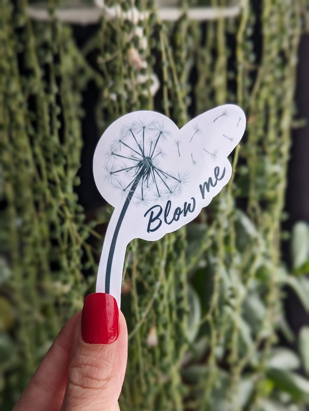 Blow me sticker, adult stickers for boyfriend, dirty sticker for hard hats, spicy stickers for hydroflask funny, fantasy gift for him, smut
