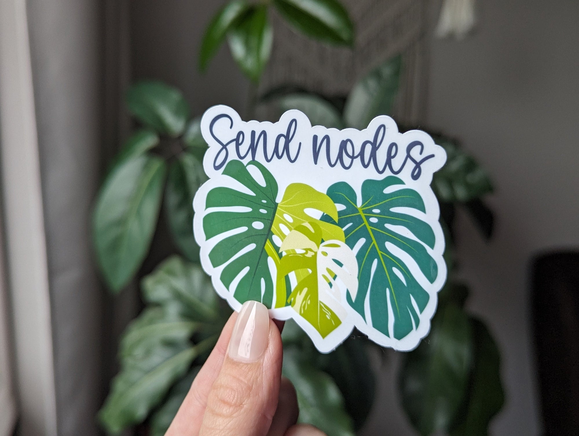 Send nodes, plant lover stickers for water bottle, plant girly things, plant gifts for women, plant merch, monstera gifts for best friend
