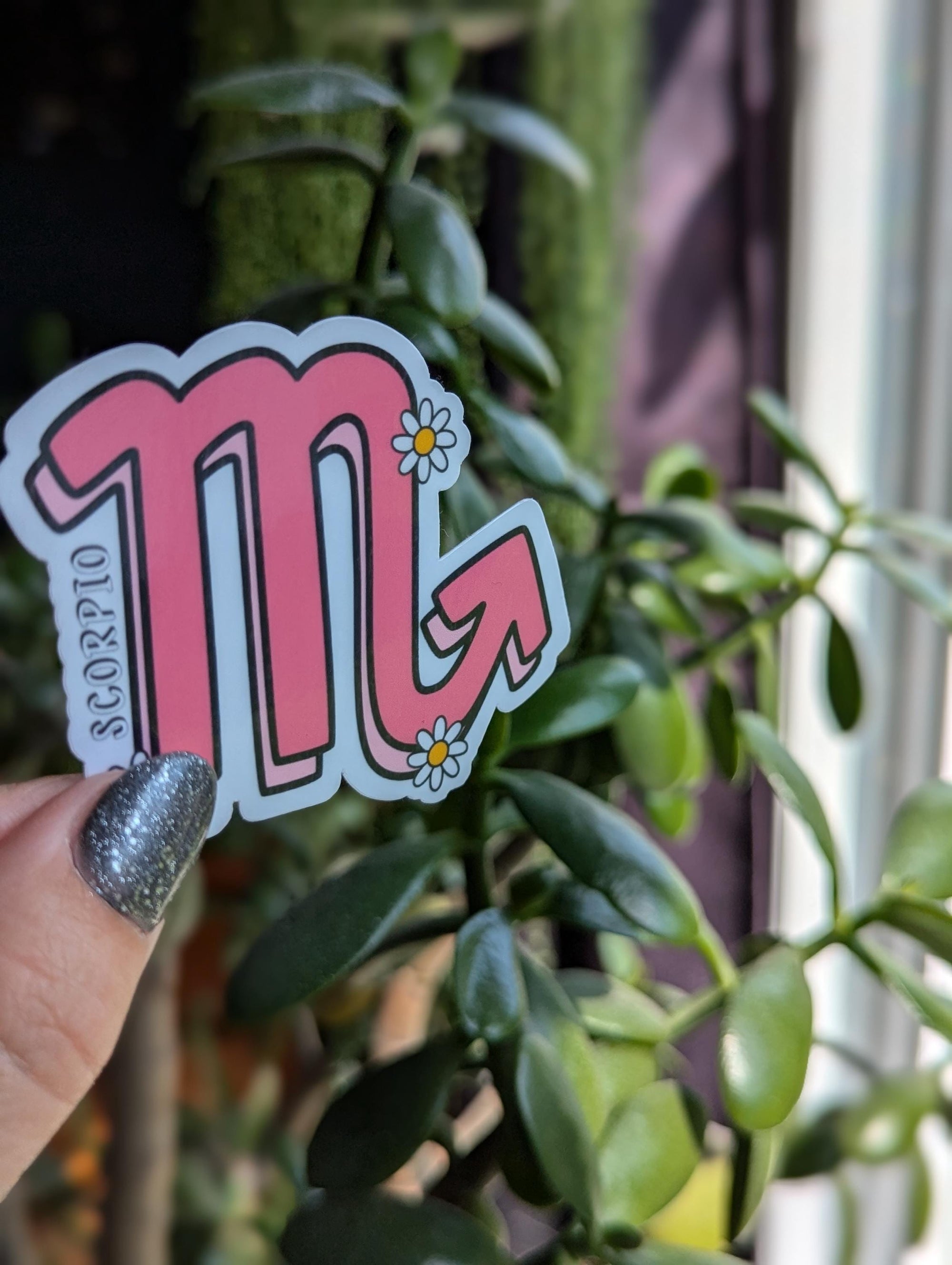 Scorpio sticker for kindle, astrology stickers for water bottle, zodiac sign stickers, horoscope, witchy gifts for her, metaphysical gifts