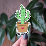 Don’t touch me cactus sticker, funny plant lover vinyl sticker, not a hugger sticker for laptops, water bottle sticker
