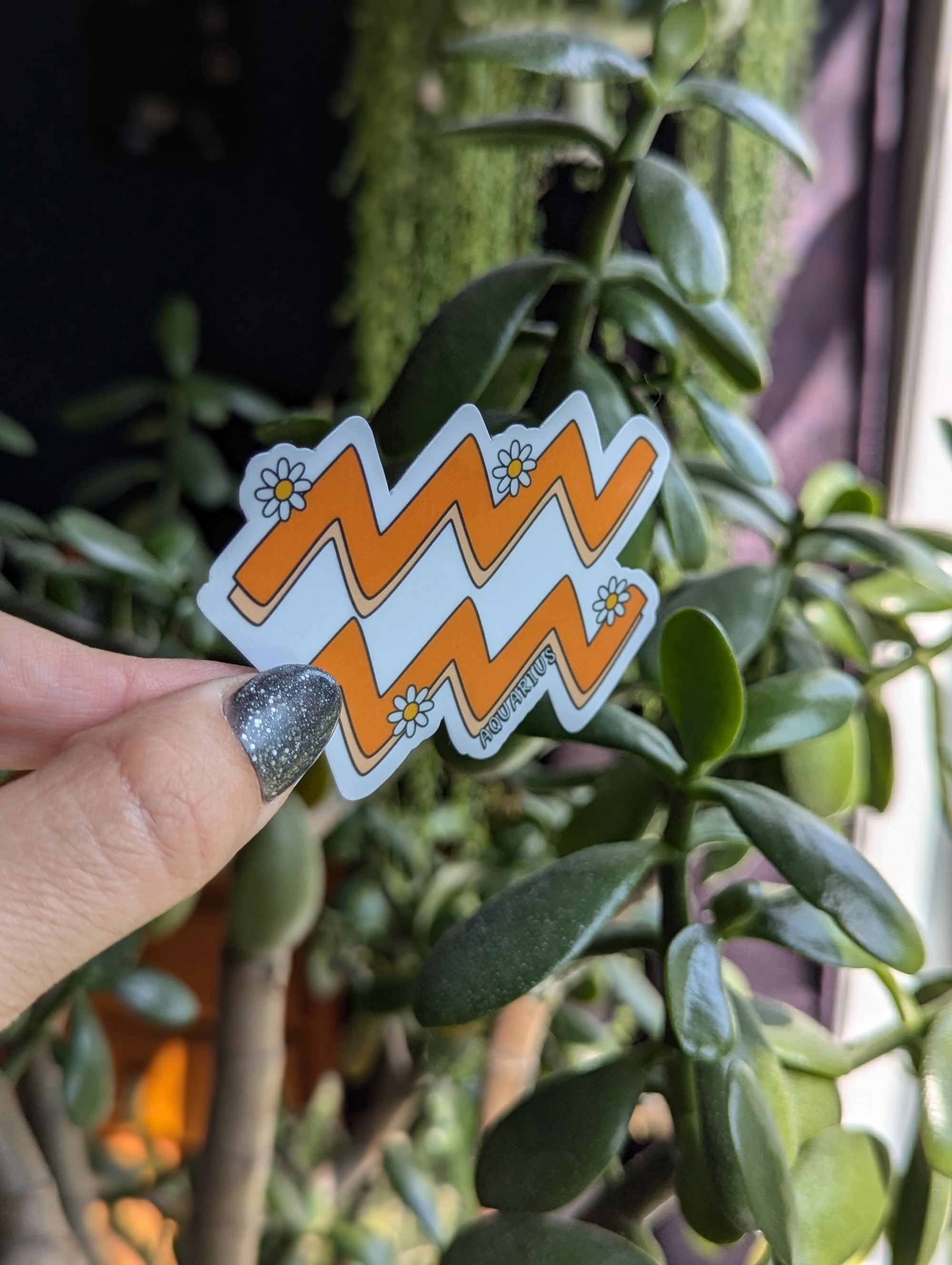 Aquarius Astrology Vinyl Sticker