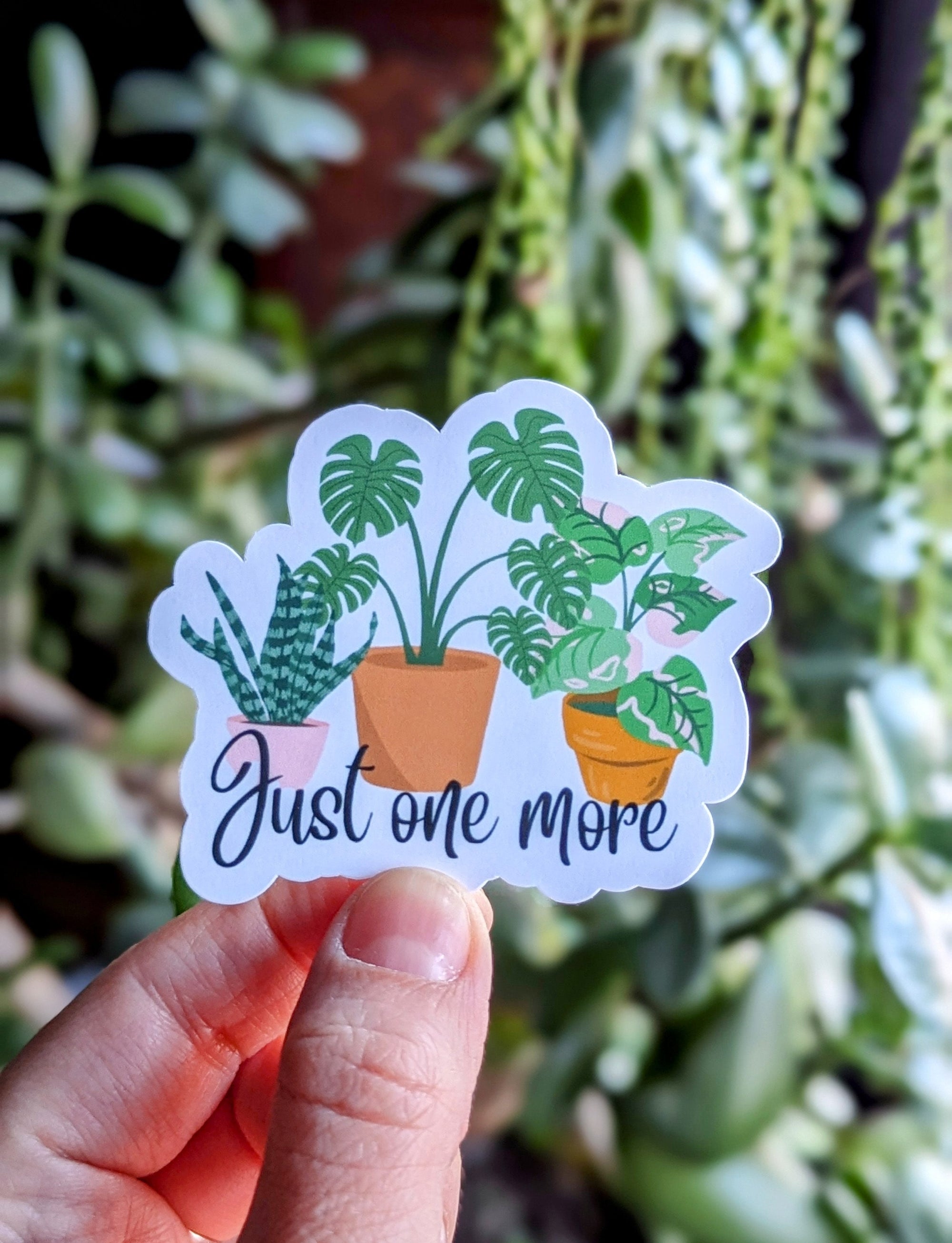 Just one more, plant stickers for water bottles, funny stickers for phone case, tumbler accessories, monstera sticker, plant lover gift