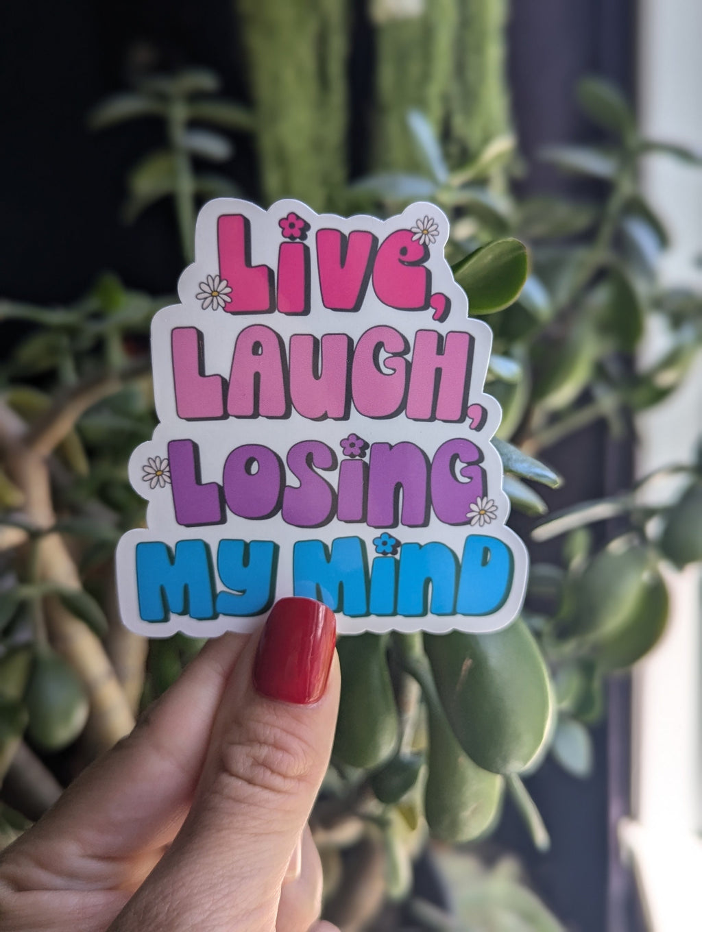 Live Laugh Loosing My Mind Vinyl Sticker