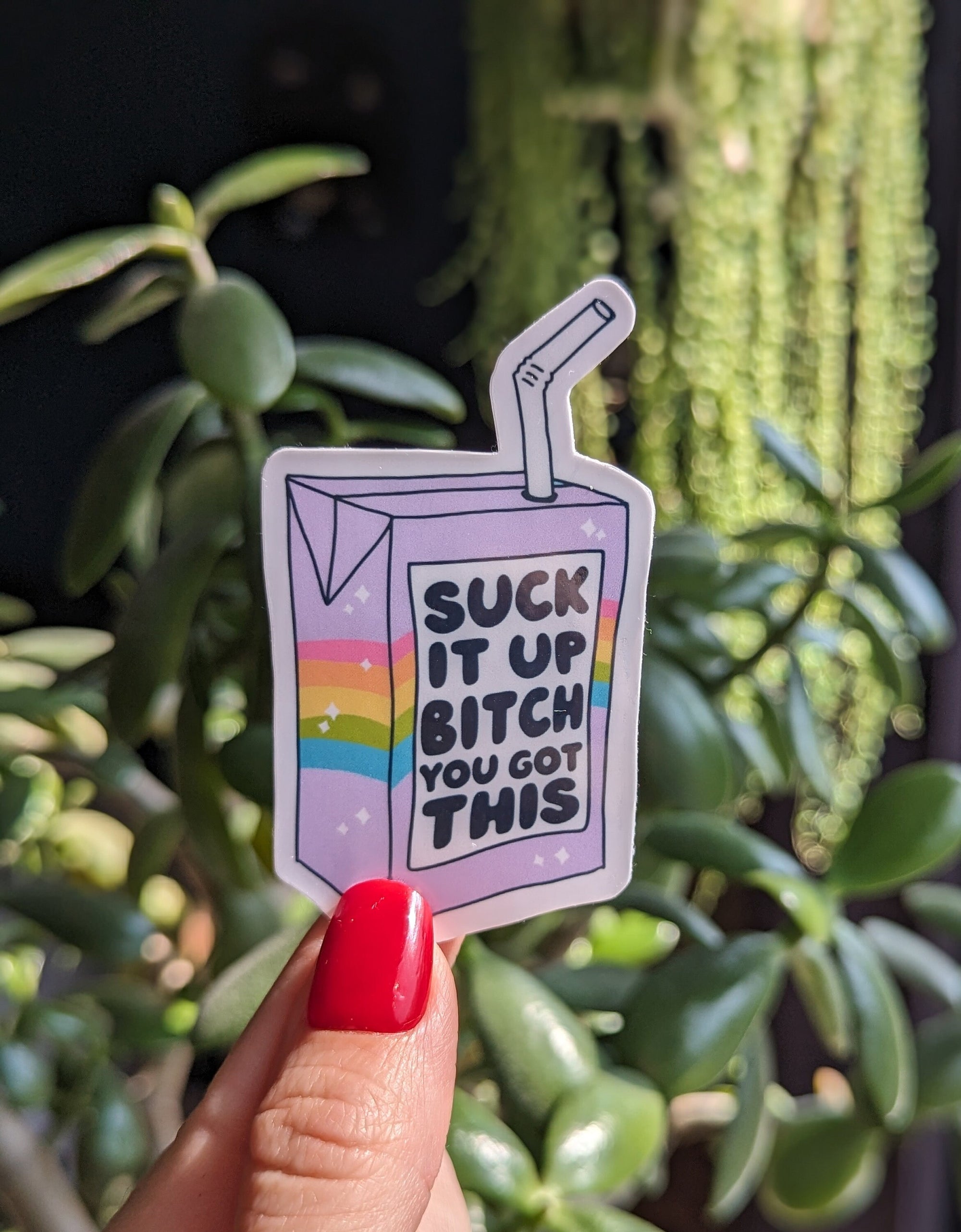 Suck it up bitch you got this, juice box sticker, motivational stickers for women, snarky gifts for her, inspirational sticker for tumblers