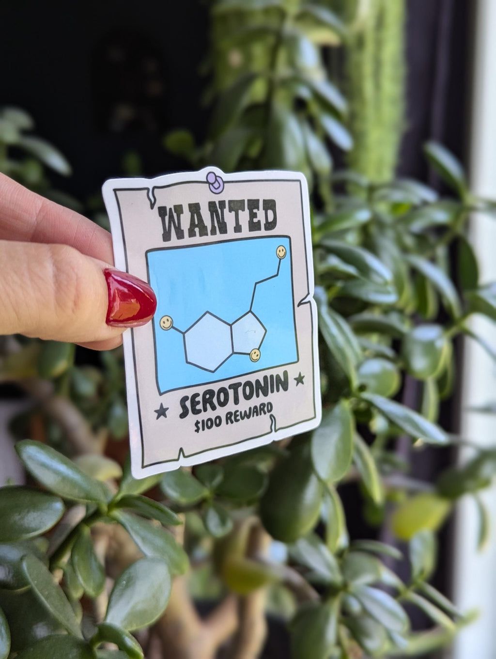 Serotonin wanted sticker, mental health stickers for water bottle, mental health awareness, funny gift for bestie, wanted poster sticker for