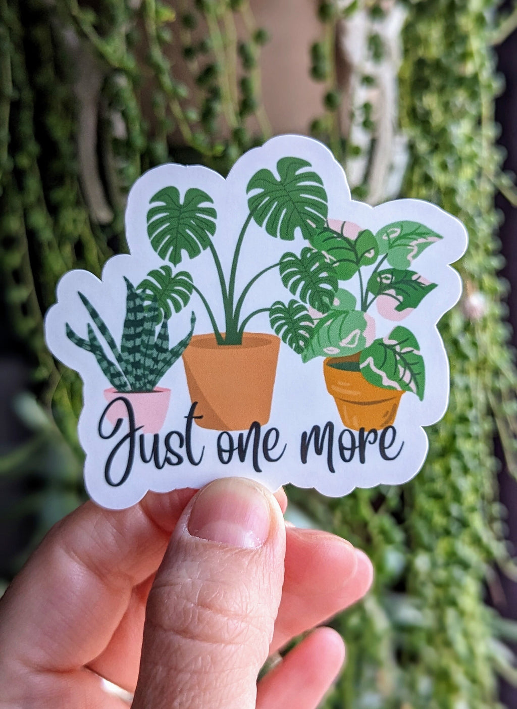 Just one more, plant stickers for water bottles, funny stickers for phone case, tumbler accessories, monstera sticker, plant lover gift