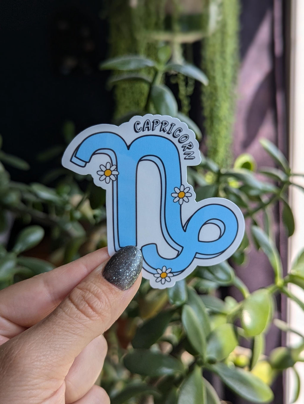 Capricorn Vinyl Sticker