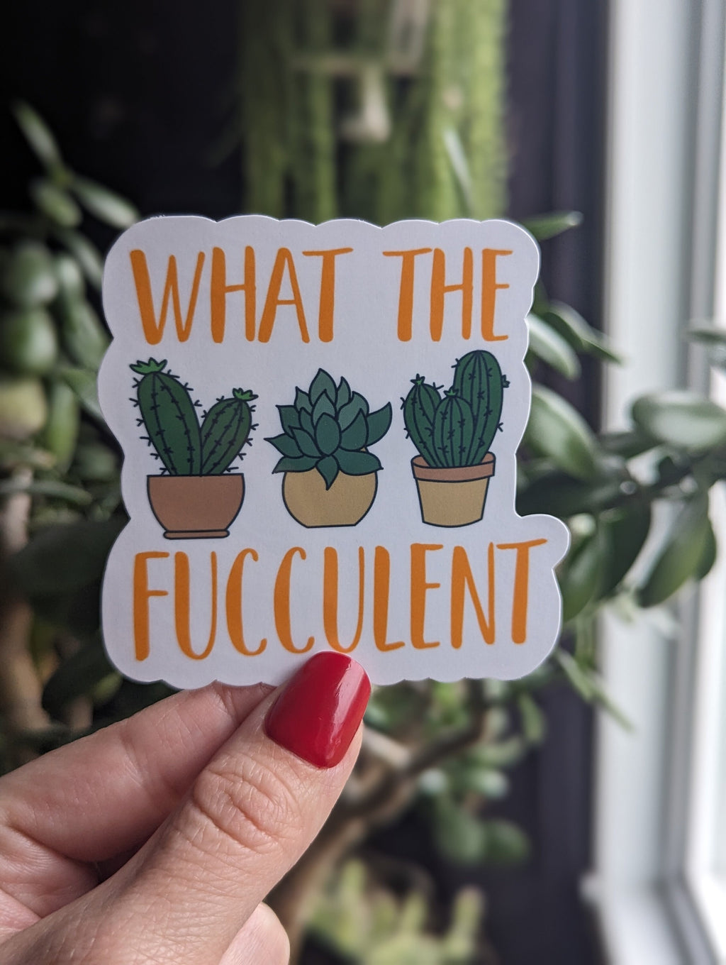 What the fucculent stickers for gardeners, plant lover sticker for hydroflask funny, succulent stickers for planner, plant gifts for grandma
