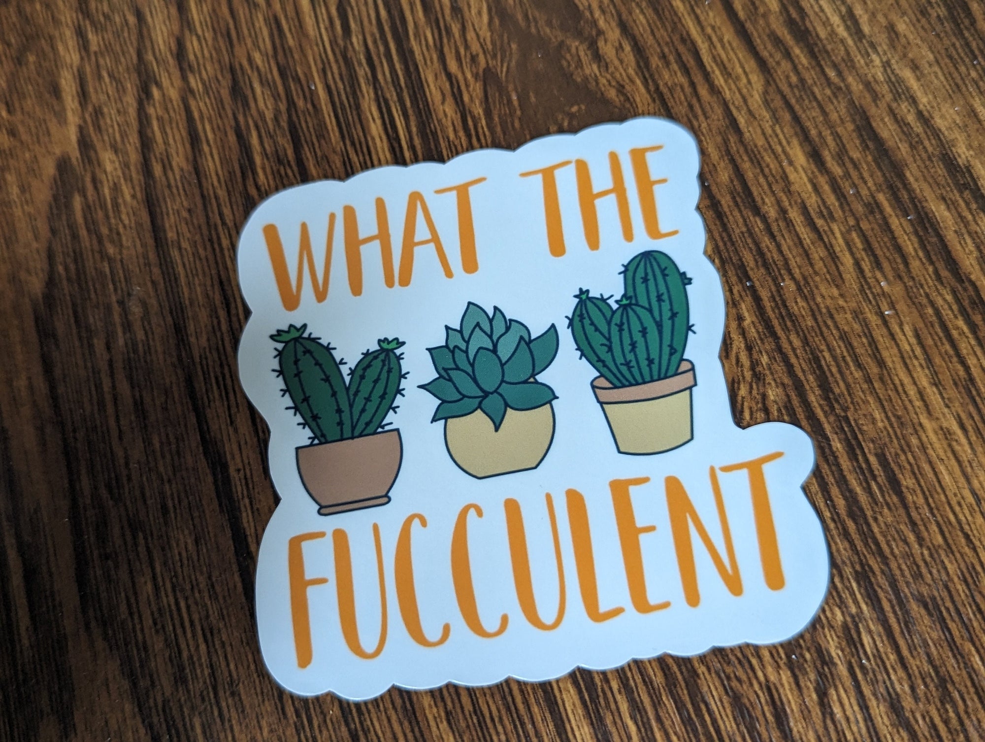 What the fucculent stickers for gardeners, plant lover sticker for hydroflask funny, succulent stickers for planner, plant gifts for grandma