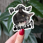 Did Someone Say Snacks - Funny Cat Vinyl Sticker