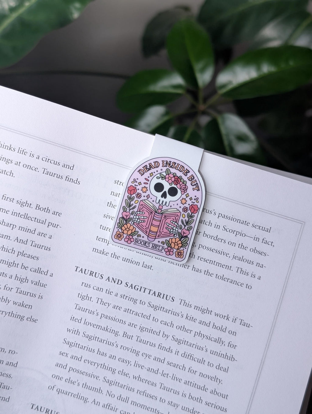 Dead Inside But Books Help Magnetic Bookmark