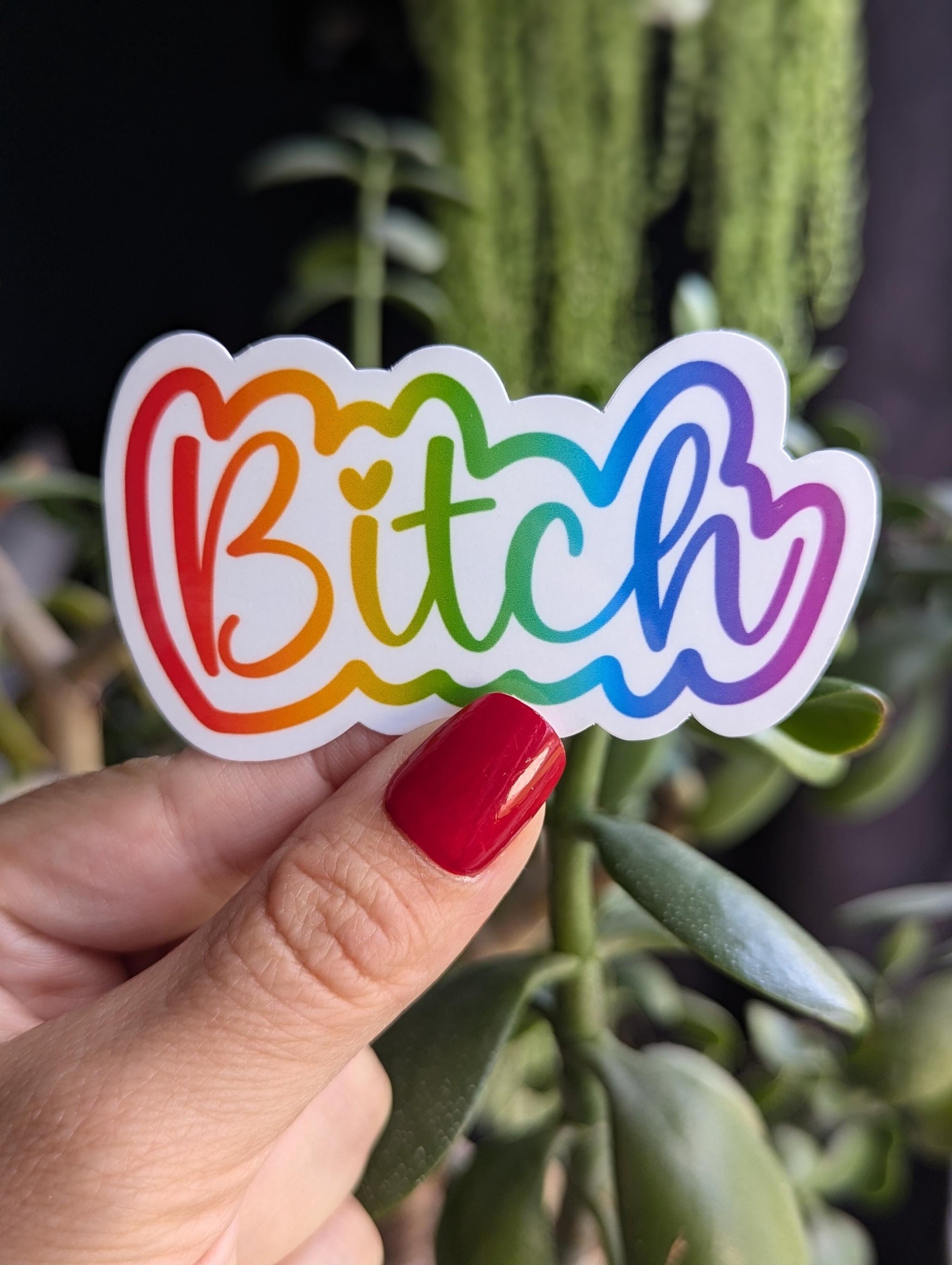 Bitch sticker, sassy stickers for water bottle, snarky gifts for sister, funny sticker for kindle, party gifts for women, sarcastic gift for