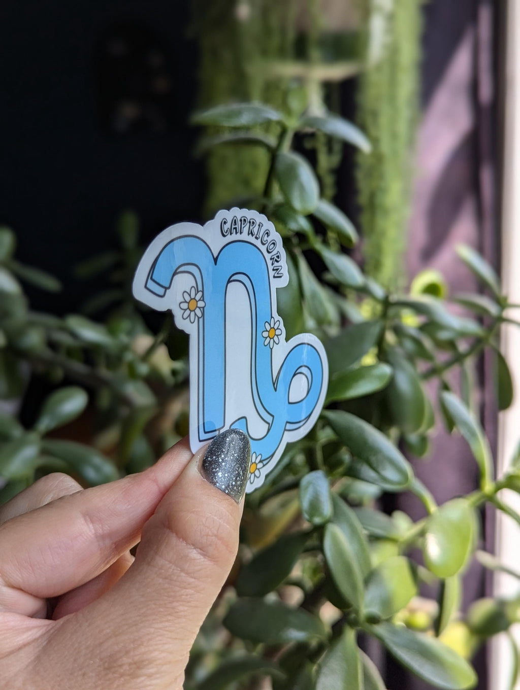 Capricorn Vinyl Sticker