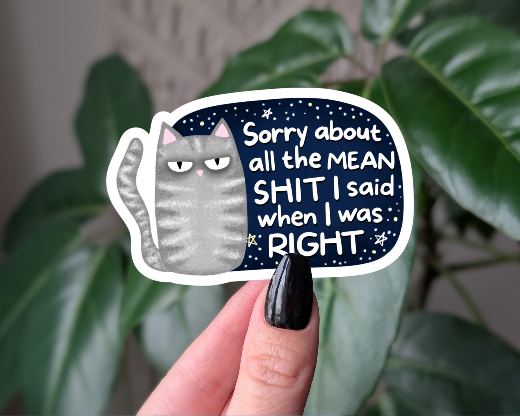 Sorry About the Mean Shit I Said Cat Sticker – Funny Apology Sticker, Snarky Cat Vinyl Decal