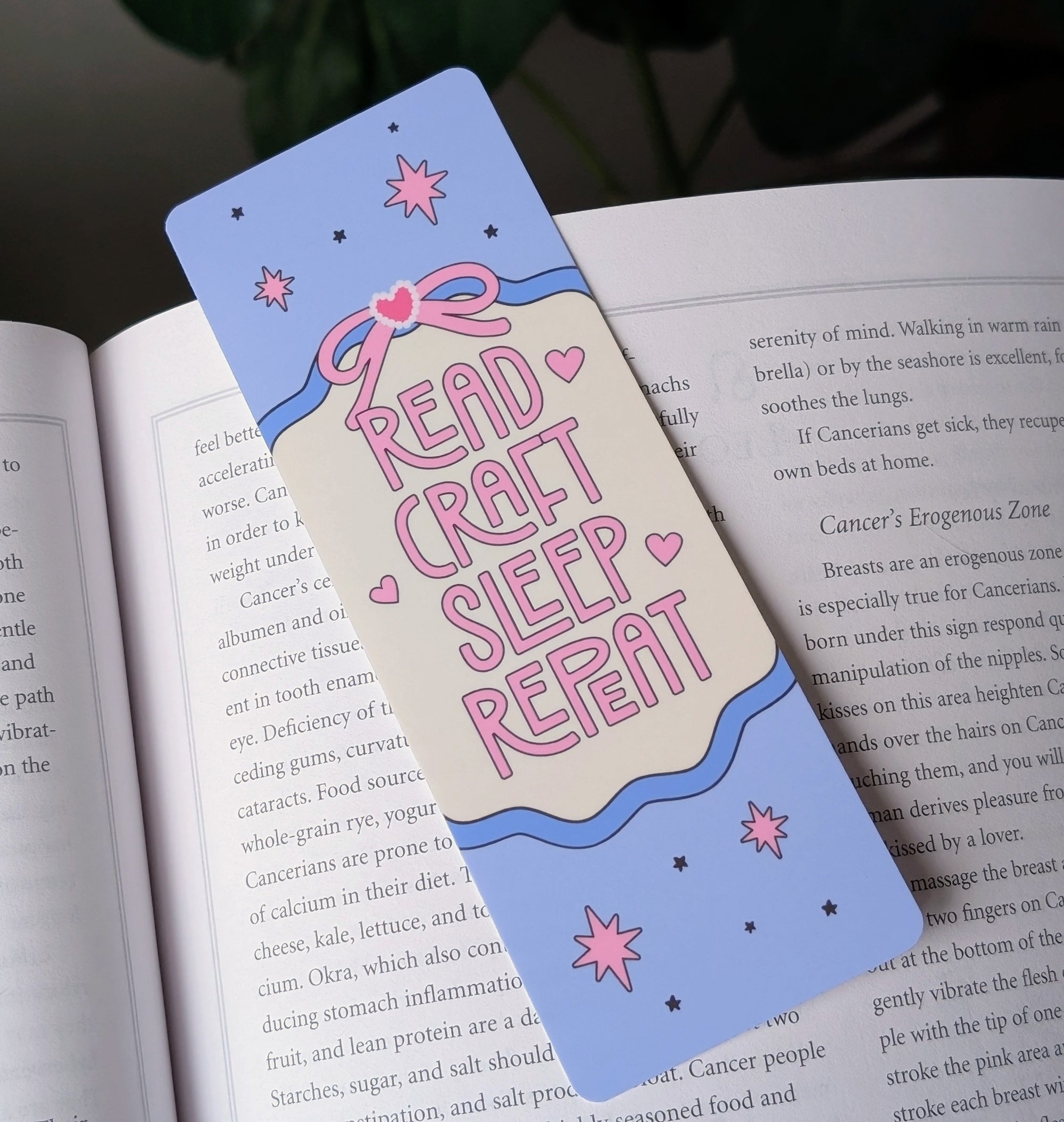 Read Craft Sleep Repeat Bookmark – Cute Pastel Book Lover Gift
