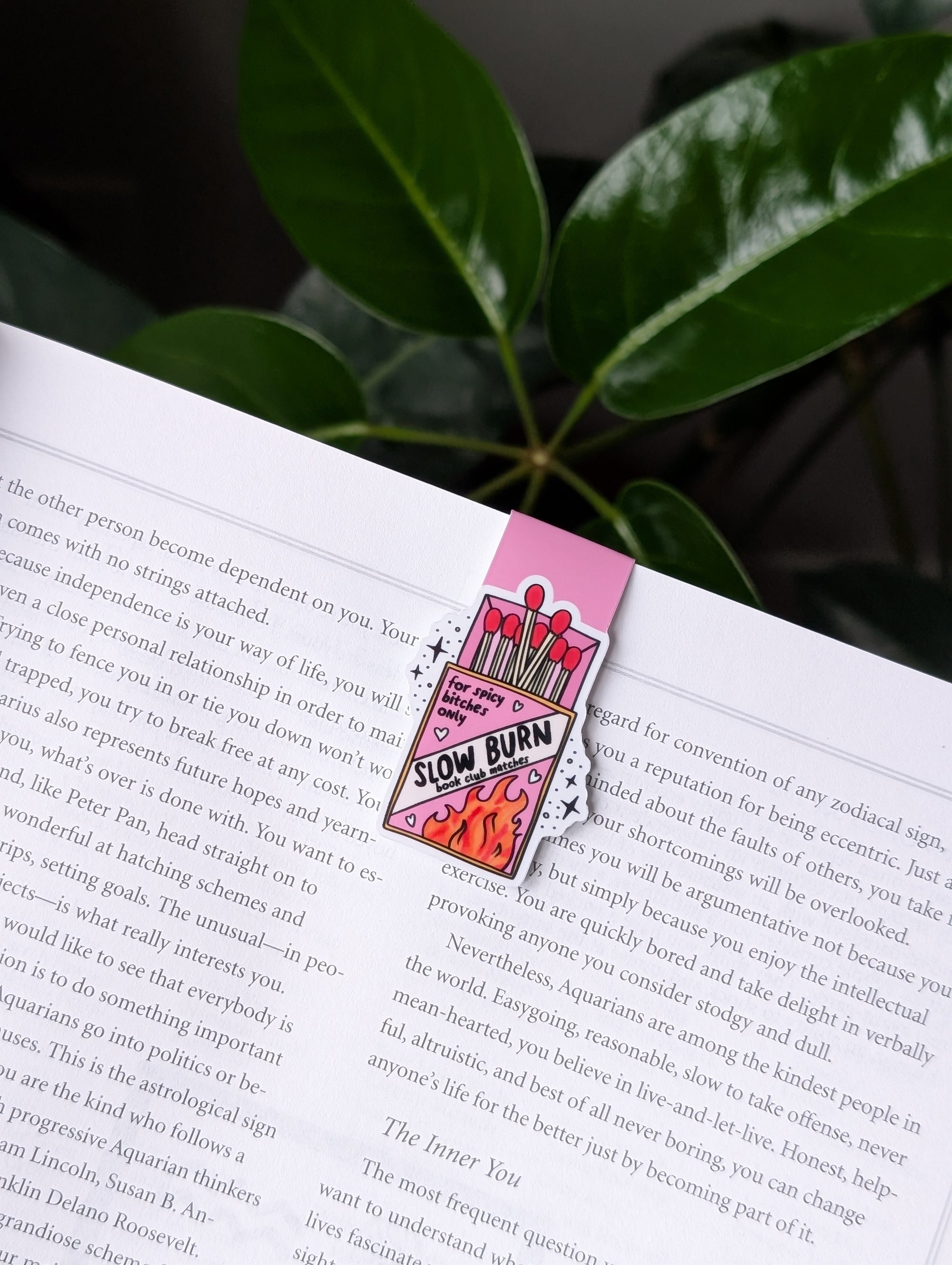 Slow Burn Magnetic Bookmark | Spicy Bookish Matchbook Design