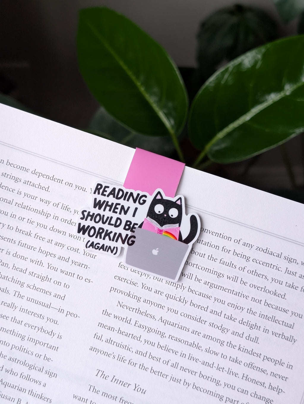 Funny Cat Magnetic Bookmark – Reading When I Should Be Working