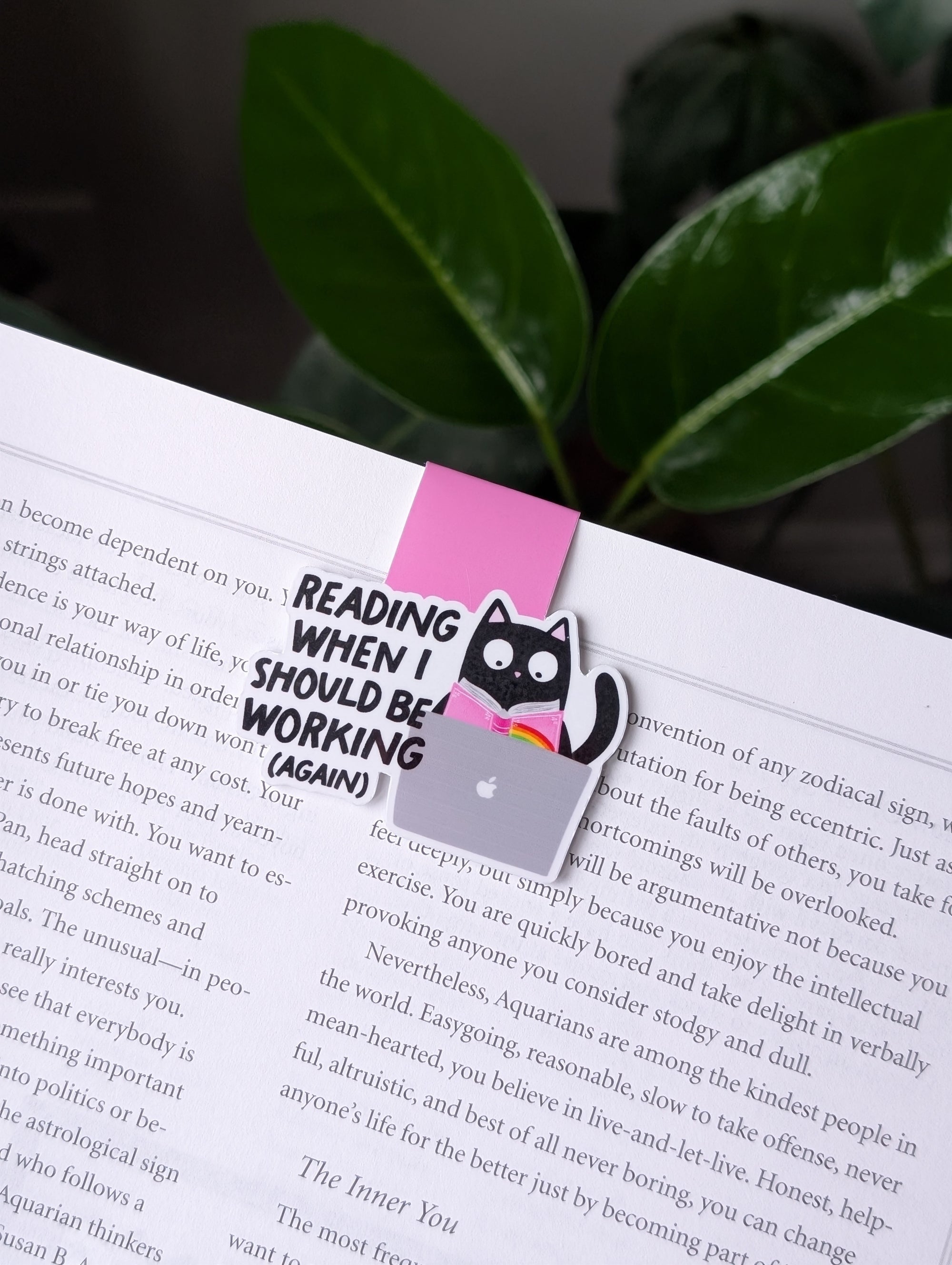 Funny Cat Magnetic Bookmark – Reading When I Should Be Working